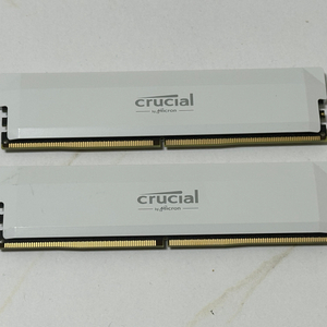 마이크론 Crucial Pro DDR5 32GB 6400MHz CL38 화이트