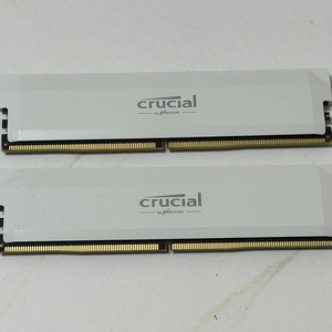 마이크론 Crucial Pro DDR5 32GB 6400MHz CL38 화이트