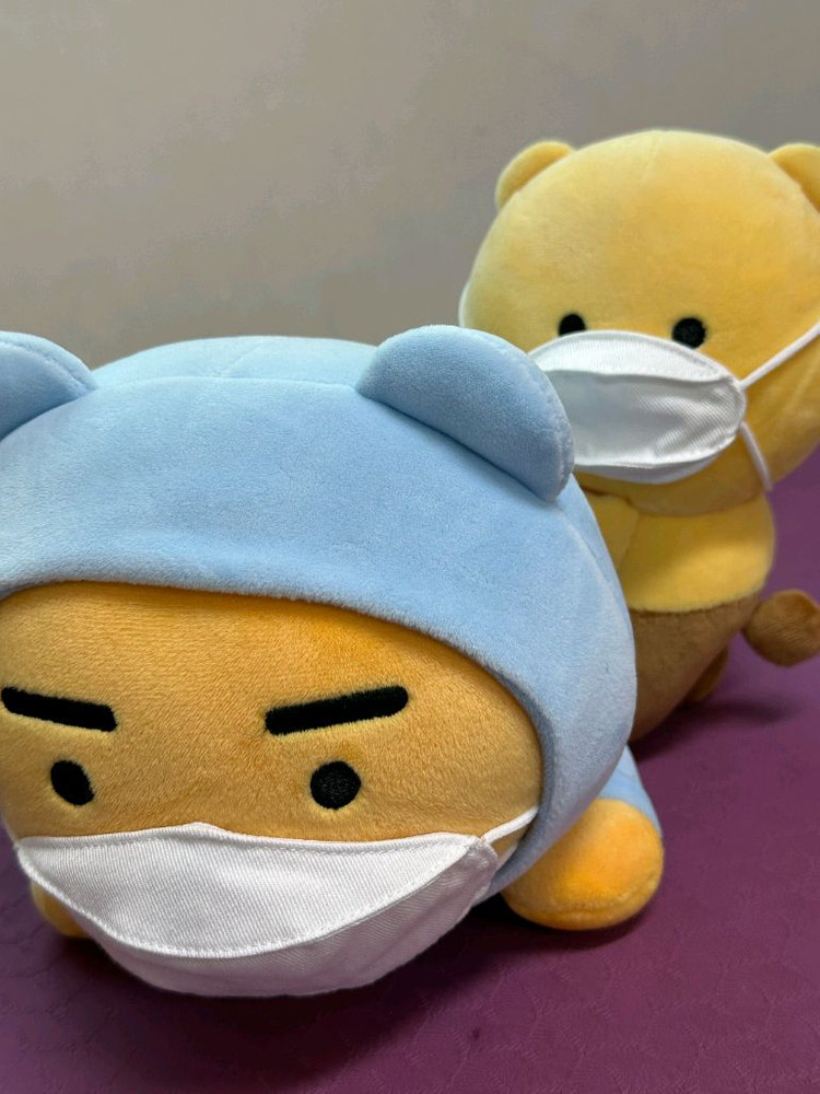 카카오프렌즈 마스크 쓴 라이언과 춘식이 인형 세트 이미지
