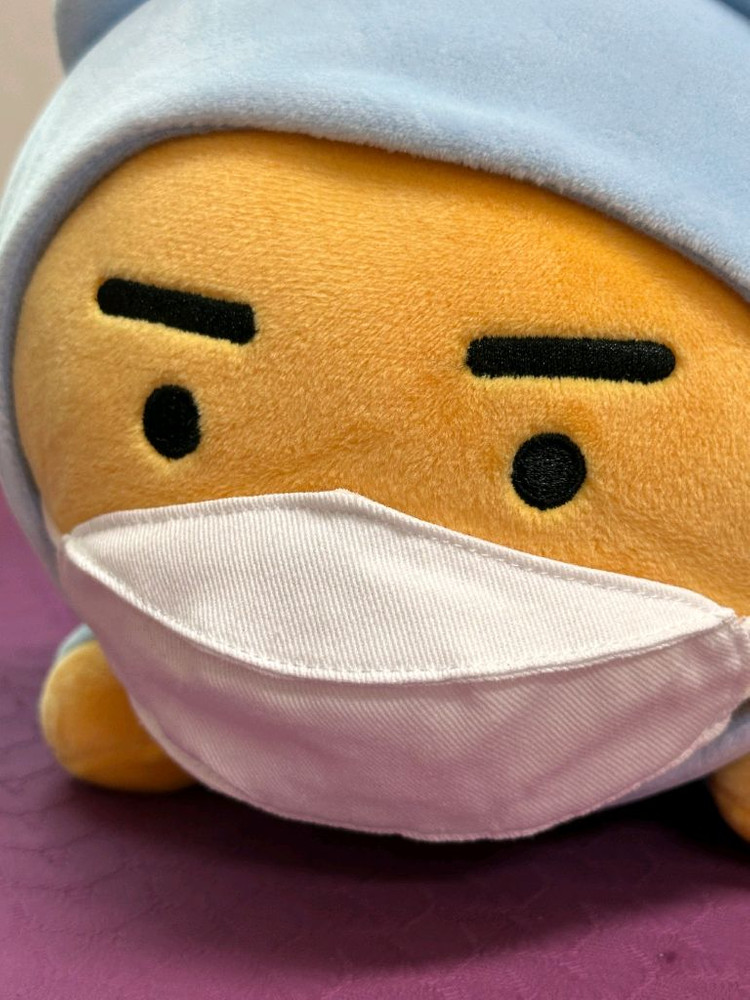 카카오프렌즈 마스크 쓴 라이언과 춘식이 인형 세트 이미지