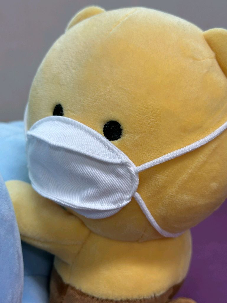 카카오프렌즈 마스크 쓴 라이언과 춘식이 인형 세트 이미지