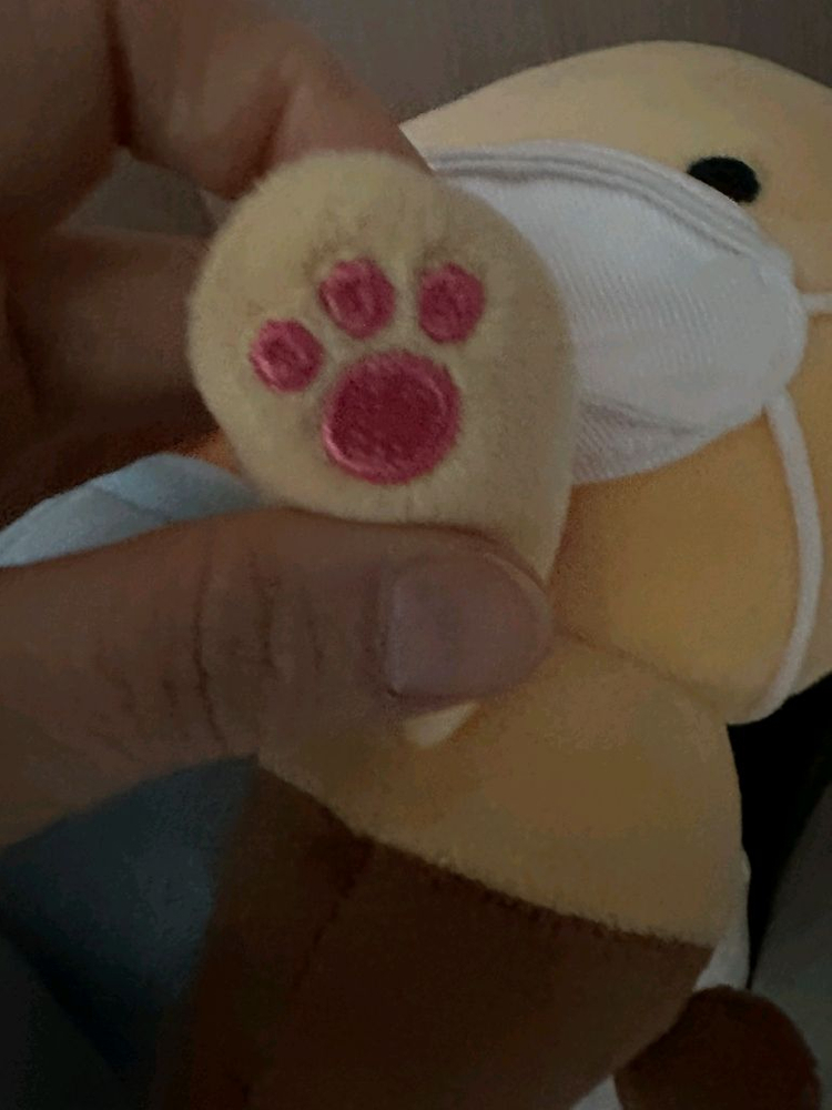 카카오프렌즈 마스크 쓴 라이언과 춘식이 인형 세트 이미지