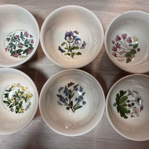 포트메리온 보타닉가든 단종 국공기(누들볼) 6p