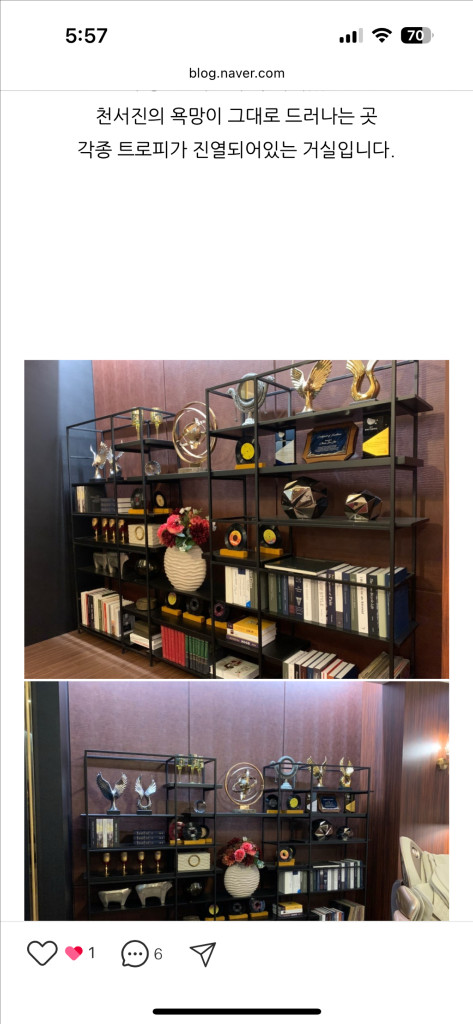 벤스 빈켈장식장--1