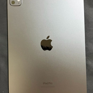 아이패드 프로 M4 11 1테라 1TB 스페이스 블랙