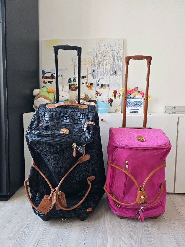 [Brics] 브릭스 캐리어 2개(28,21)--1