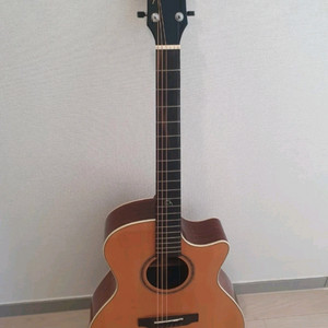 Gwood 지우드 GWG-R2CE 탑솔리드 어쿠스틱 통기타 팝니다