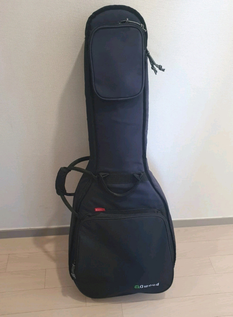 Gwood 지우드 GWG-R2CE 탑솔리드 어쿠스틱 통기타 팝니다--8
