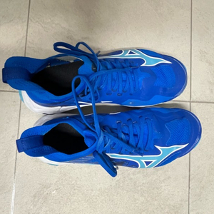 미즈노 농구화 배구화 배드민턴화 웨이브 라이트닝 네오3 사이즈 240 이미지