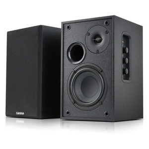 캔스톤 R770BT 블루투스 북쉘프 스피커