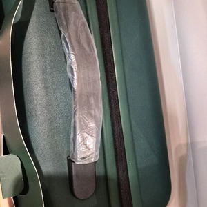 스타벅스서머백그린