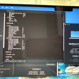 맥북 14 m4pro 48gb 1tb 실버