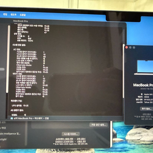 맥북 14 m4pro 48gb 1tb 실버