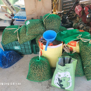 1kg 도토리가루 (재래식)