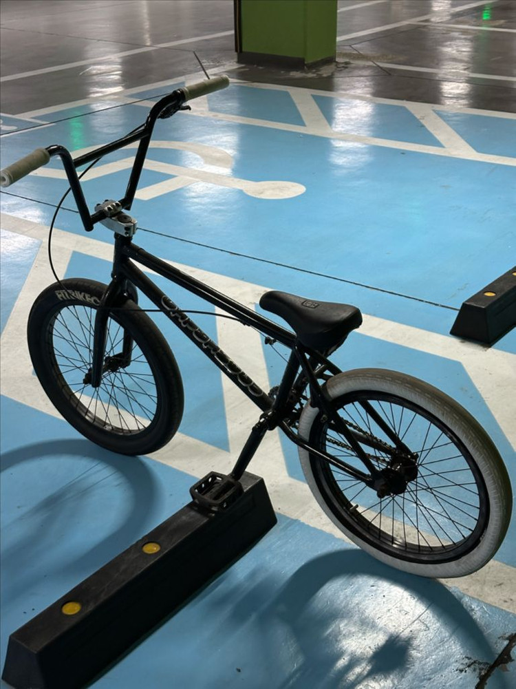 bmx 비스타바이크 프리코스터--2