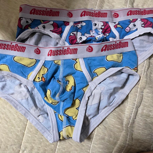 오지범 삼각팬티