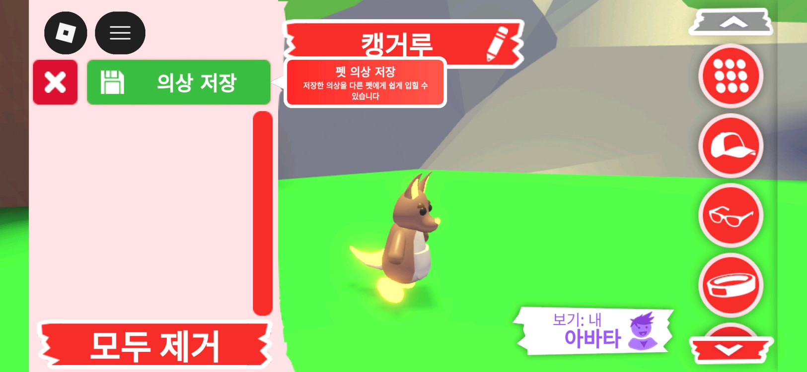 입양하세요 펫 네온 캥거루(네캥)판매합니다 이미지