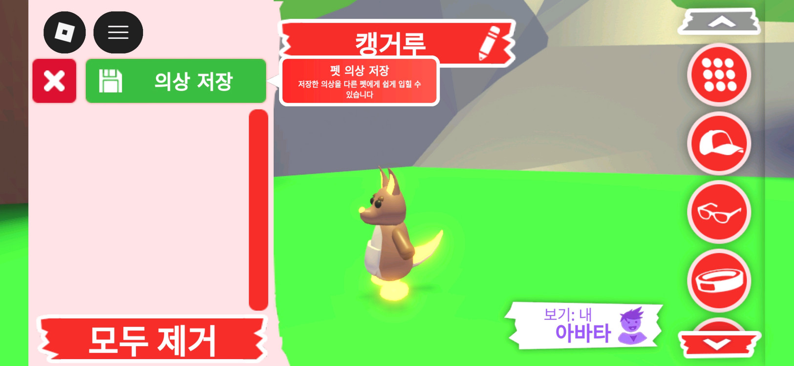 입양하세요 펫 네온 캥거루(네캥)판매합니다 이미지