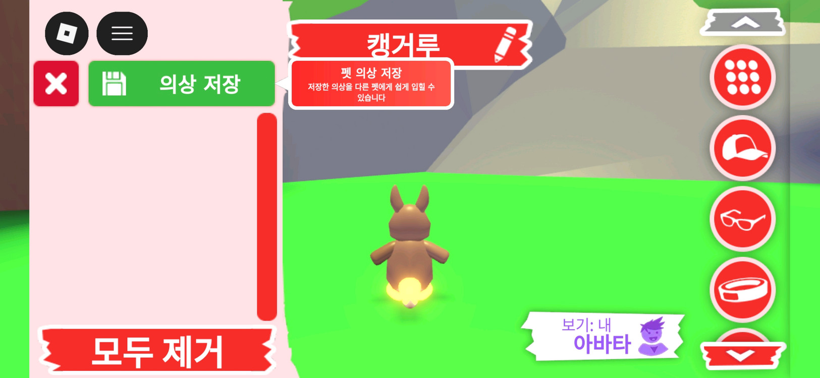 입양하세요 펫 네온 캥거루(네캥)판매합니다 이미지