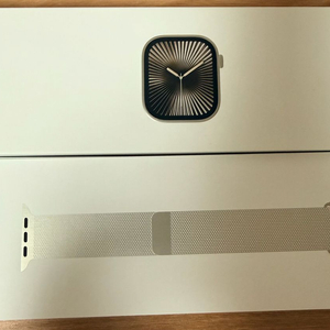 애플워치 10 내추럴 티타늄46mm sss급