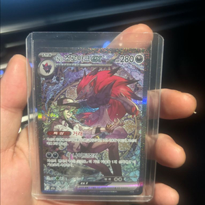 조로아크 sar 이미지