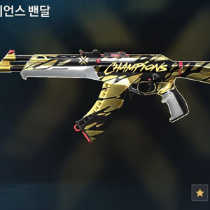 발로란트2021챔밴몸굿즈계정 구합니다 이미지