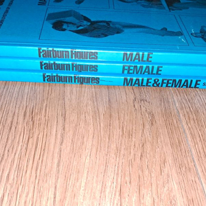 미술포즈집 Fairburn figures 3권 세트 3만원 이미지