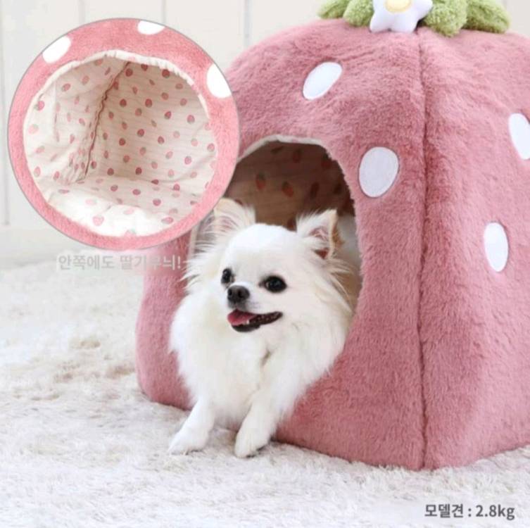 [새제품] 펫파라다이스 딸기 펫 하우스/ 소형 강아지집--1