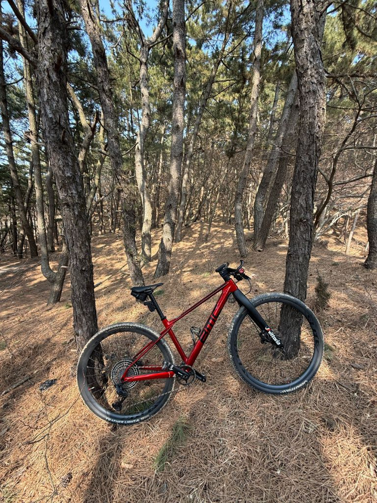 BMC투스트로크01 풀튜닝 모델 (판매/대차)--2