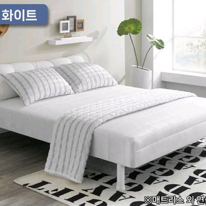 특가]푹신 발통 다리 일체형 슈퍼싱글 퀸 매트리스 침대 이미지