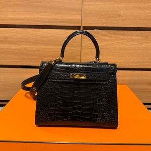 켈리25 올수공 엘리게이터