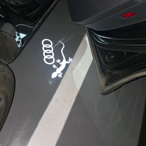 아우디 도마뱀포링 도어라이트 이미지