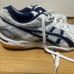 아식스 로테 리브레 245