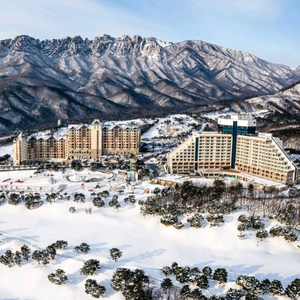 소노벨 델피노 3.21 토 조식 or 오션플레이 패키지 숙박 숙소