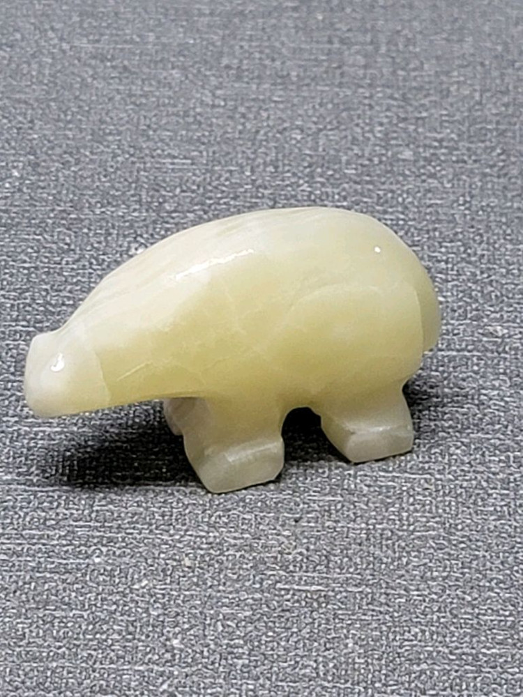 아르헨티나산 천연옥 개미핥기 이미지