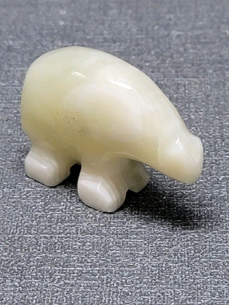 아르헨티나산 천연옥 개미핥기 이미지