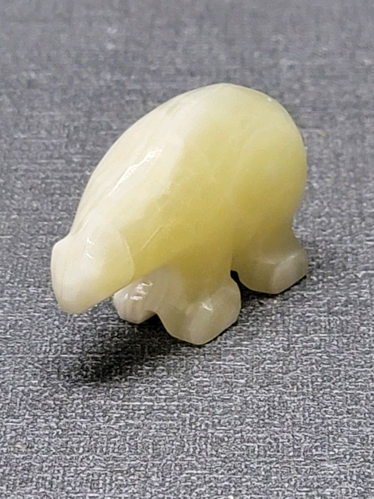 아르헨티나산 천연옥 개미핥기 이미지