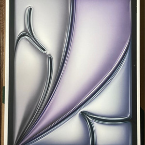 [미개봉]아이패드 에어13 M3 256GB Wi-Fi 스페이스 그레이 이미지