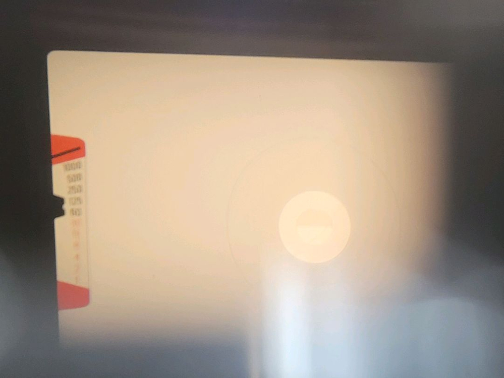 니콘 EM 필름카메라--7