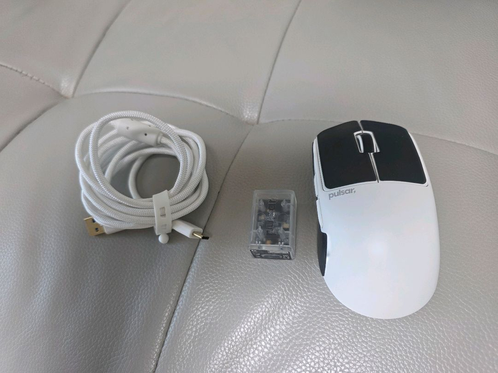 펄사 x2 crazy light MINI--4