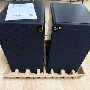 캔스톤 F&D R50 스피커