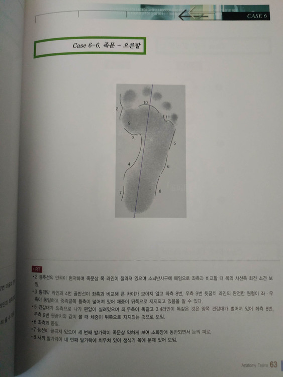 임상 사례로 본 체형 분석과 족문 분석(김애숙 전국의학 출판) 이미지