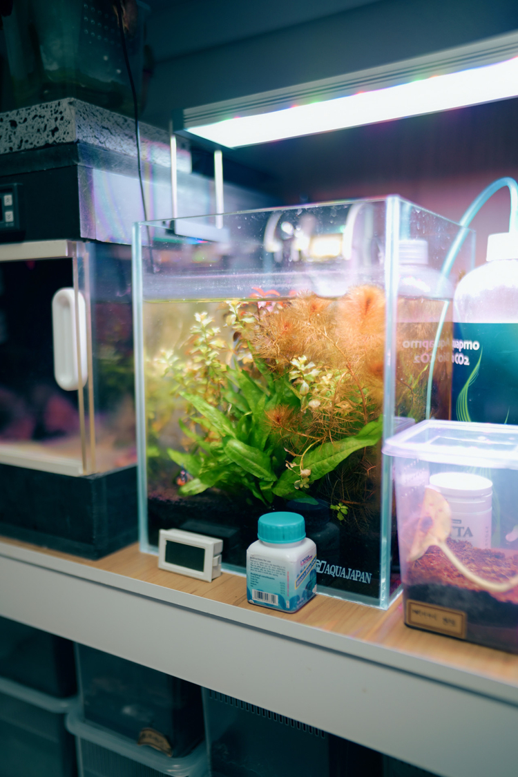 성남 7artisan 28mm f1.4 라이카 m마운트 렌즈 30만원 박스없음 이미지