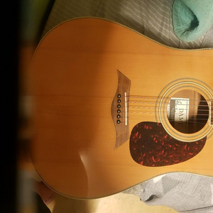 일렉트릭 어쿠스틱 기타