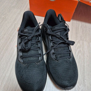 나이키 페가수스41 265사이즈 이미지