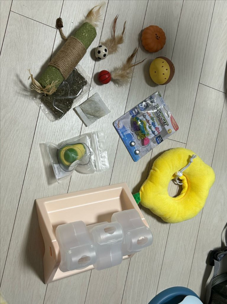 반려동물 장난감 용품 일괄 이미지
