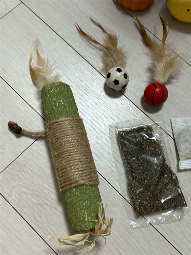 반려동물 장난감 용품 일괄 이미지