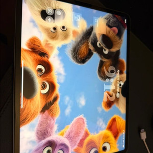 아이패드 프로 12.9인치 6세대 모델입니다 이미지