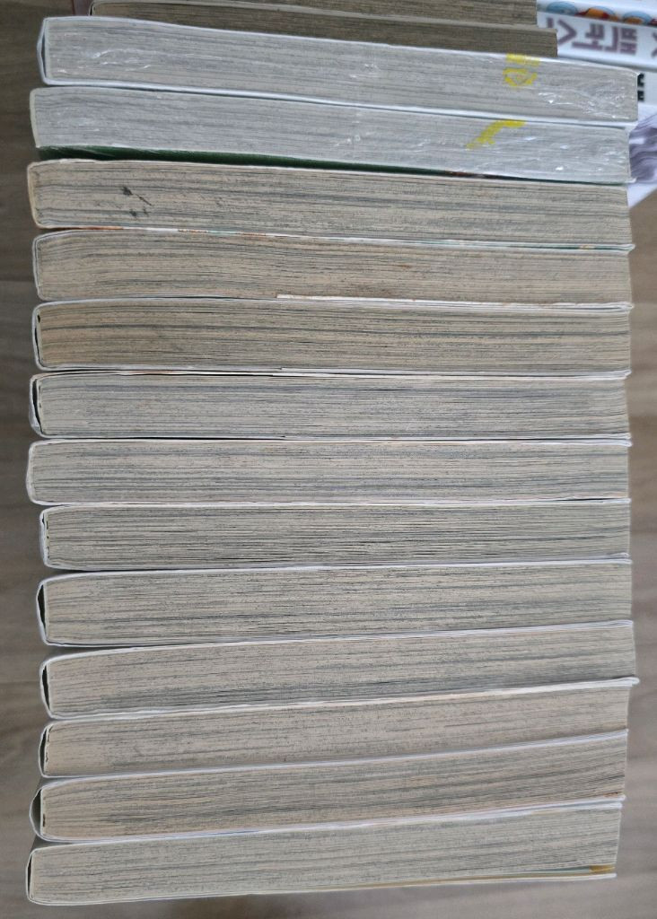 프린세스 한승원 소장용 13권--1