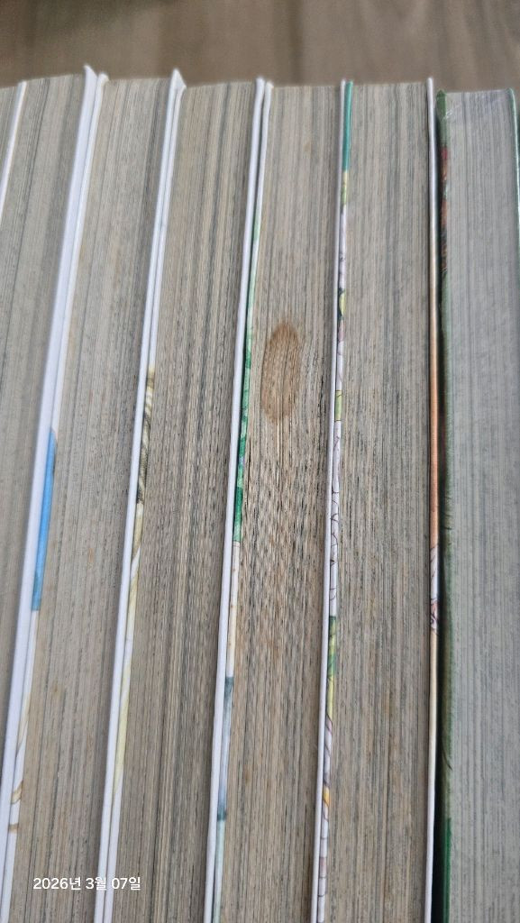 프린세스 한승원 소장용 13권--3